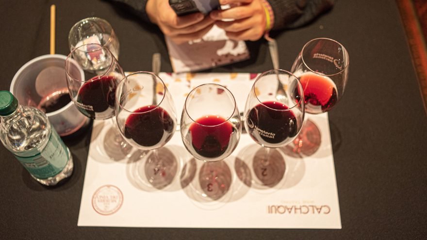 Los VINOS más sorprendentes del norte argentino: cuáles probar / Titulares de Tecnología