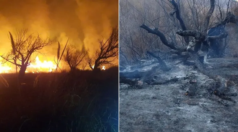 Tilcara se produjo un incendio que afectó casi 2 hectáreas