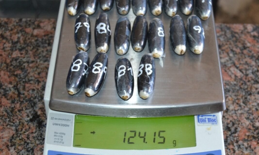 En Jujuy: viajaban con 98 cápsulas con cocaína en el estómago y más adherida a los asientos con imanes