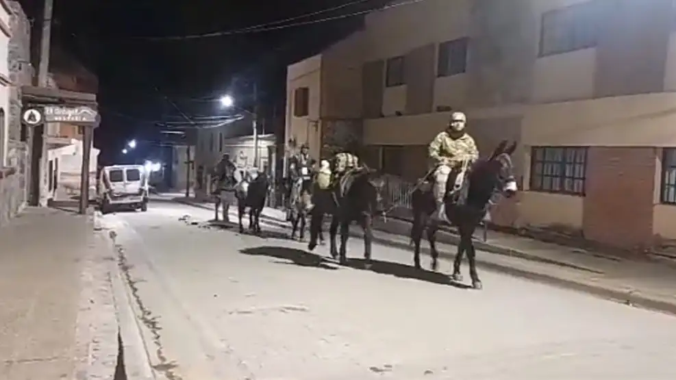Urnas «a lomo de mula» desde Tilcara: la travesía de 12 horas por las montañas para que voten en cuatro parajes