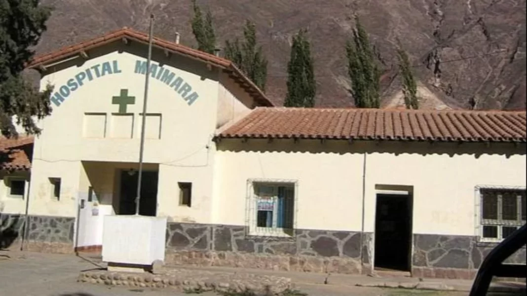 Fueron atacados por abejas dentro de su propia casa