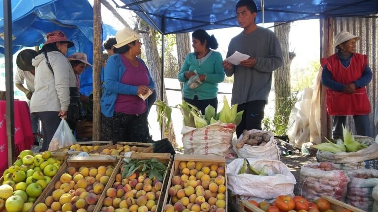35° Festival del durazno la humita y el folclore