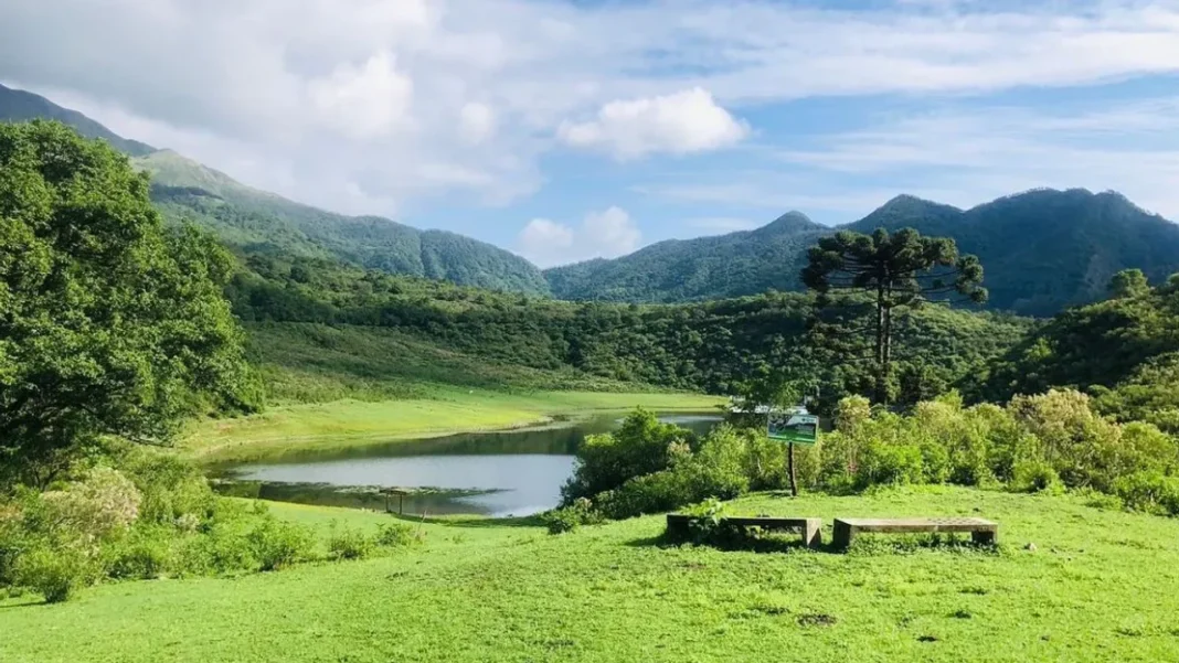 El Parque Potrero de Yala es un área protegida de gran valor ecológico ubicada en la provincia de Jujuy INFOTILCARA
