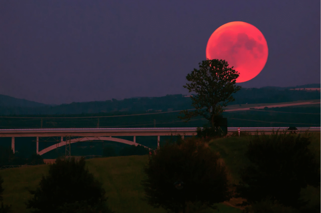Un espectáculo en el cielo: la Luna de Fresa se podrá ver el 11 de junio en todo el mundo.