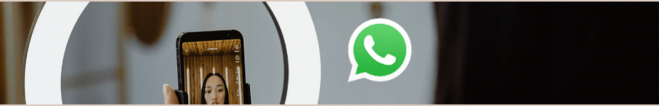 spot_img